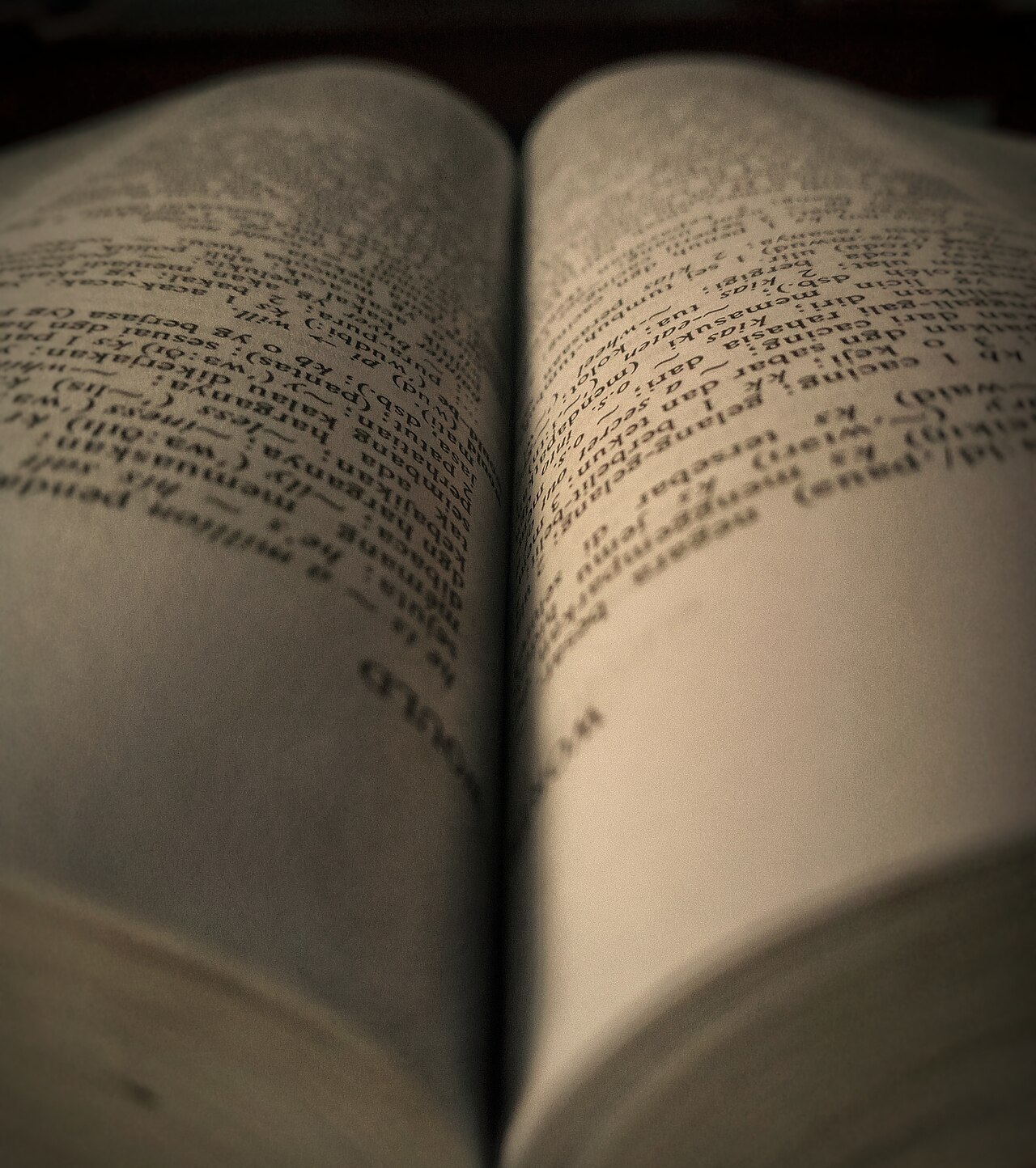 An open book with printed pages in close view.